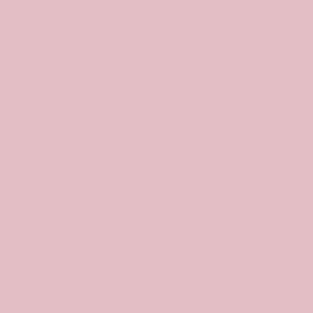 le-creuset-tortiera-tradition-rotonda-in-gres-vetrificato-28-cm-2-1-l-shell-pink image 4